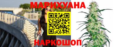 трава Новозыбков