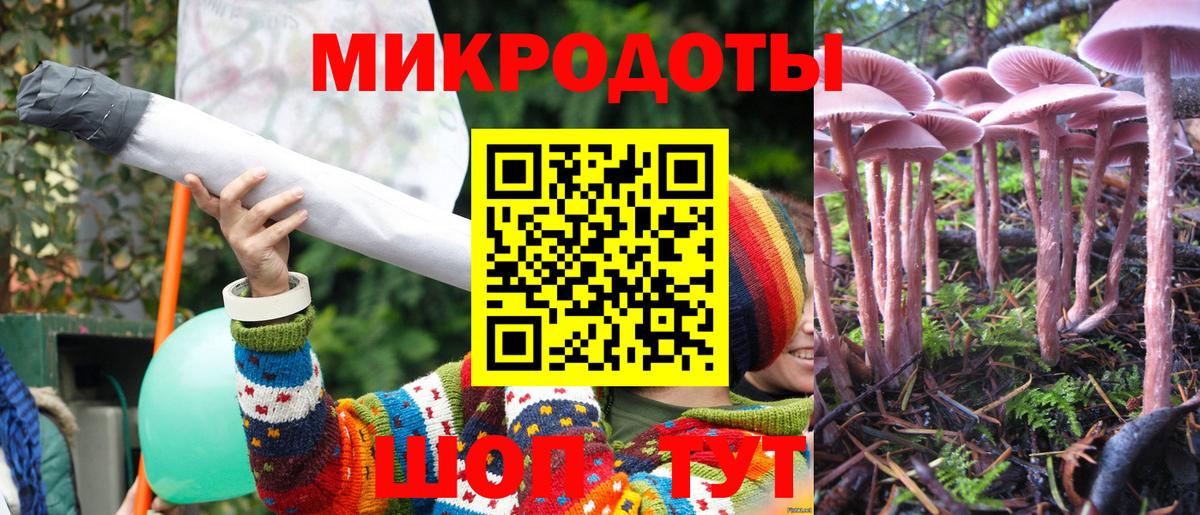 Псилоцибиновые грибы Magic Shrooms Гусев