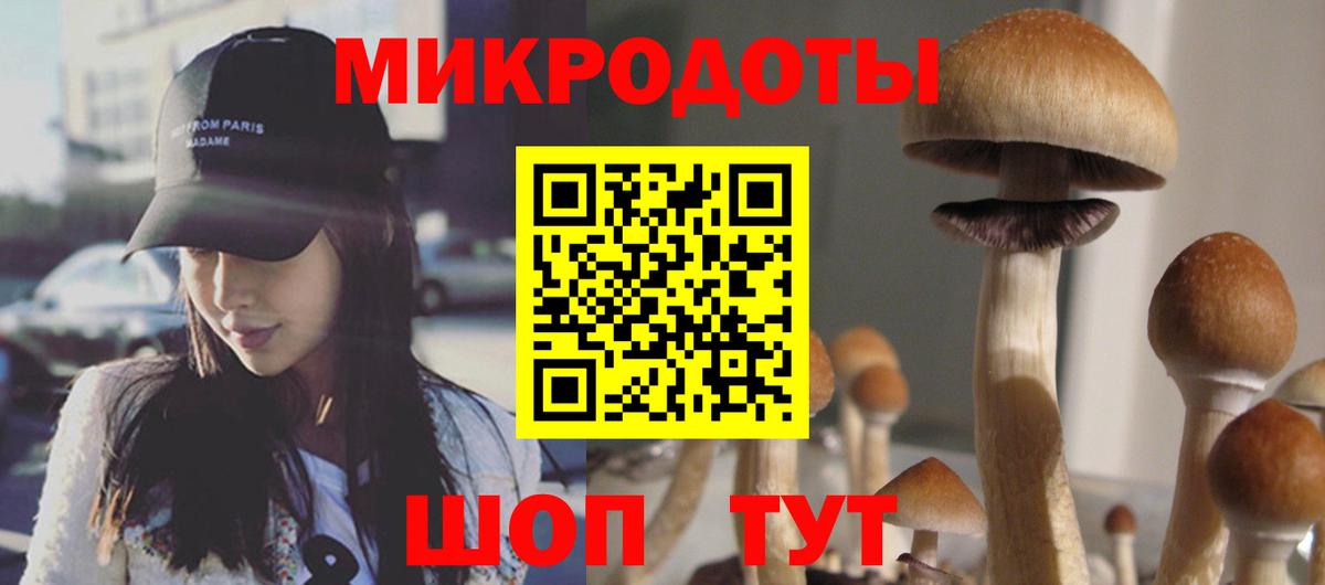 Псилоцибиновые грибы GOLDEN TEACHER  Вход с VPN  Псилоцибиновые грибы Cubensis  Гусев 